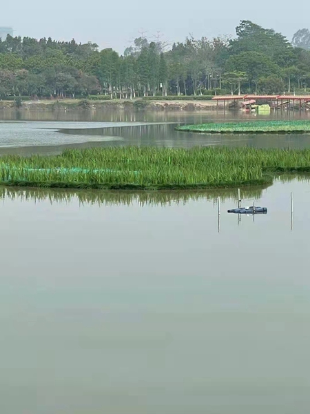 浮島 