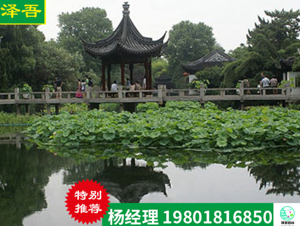 黑(hēi)龍江水(shuǐ)生(shēng)植物園