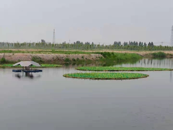 浮島 